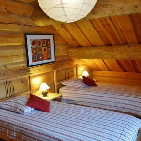 Feriehus Chalet Bois 3 Ch, Tout Equipe, Proche Commodites & Tourisme. - Fr-1-589-49 Anould