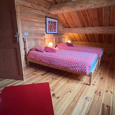 Chalet Bois 3 Ch, Tout Equipe, Proche Commodites & Tourisme. - Fr-1-589-49 * Anould